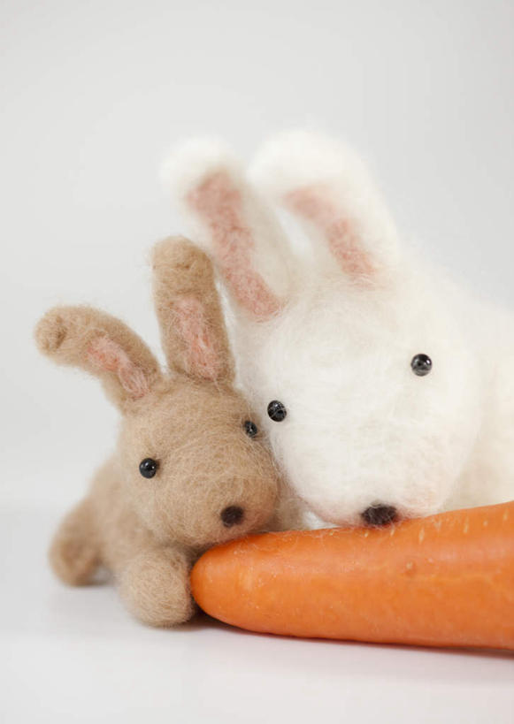 无人,竖图,室内,特写,白天,白色背景,正面,游戏,哺乳动物,萝卜,胡萝卜,蔬菜,玩具,新鲜,兔子,食品,棕色,玩,娱乐,食物,一个,白色,动物,两只,休闲,橙色,益智,摄影,有机食品,绿色食品,影棚,单个,活动,兔,发泄,消遣,智力,宣泄,红萝卜,甘荀,玩耍,嬉戏,半身,彩图,影棚拍摄,拍摄