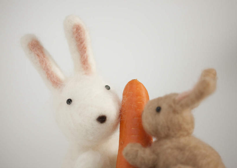 无人,横图,室内,特写,白天,白色背景,侧面,游戏,哺乳动物,萝卜,胡萝卜,蔬菜,玩具,新鲜,兔子,食品,棕色,玩,娱乐,食物,一个,白色,动物,两只,休闲,橙色,益智,摄影,有机食品,绿色食品,影棚,单个,活动,兔,发泄,消遣,智力,宣泄,红萝卜,甘荀,玩耍,嬉戏,半身,彩图,影棚拍摄,拍摄