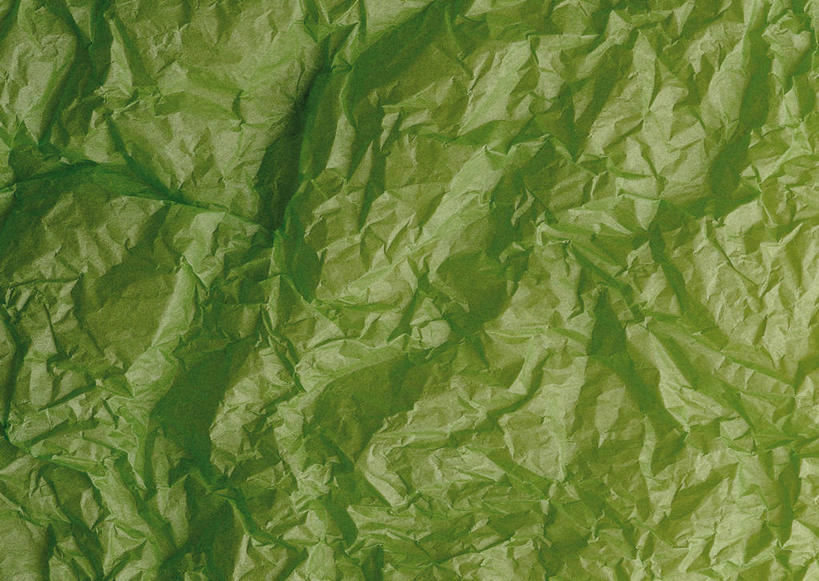 无人,横图,室内,特写,白天,正面,静物,花纹,新鲜,褶皱,纹路,纹理,纸,纸张,文化,绿色,青春,杂乱,混乱,生命,和平,安详,肌理,和纸,日本纸,冷色,紊乱,芜杂,彩图