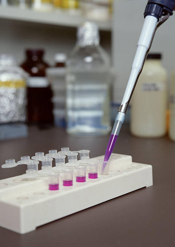 无人,竖图,室内,特写,白天,正面,实验,仪器,桌子,杯子,阴影,朦胧,模糊,研究,透明,反射,分析,化学,测试,滴管,试管,试剂瓶,液体,影子,实验室,研究室,玻璃制品,红色,玻璃瓶,瓶子,器皿,计量,试验室,玻璃仪器,试验耗材,实验用品,玻璃杯,彩图