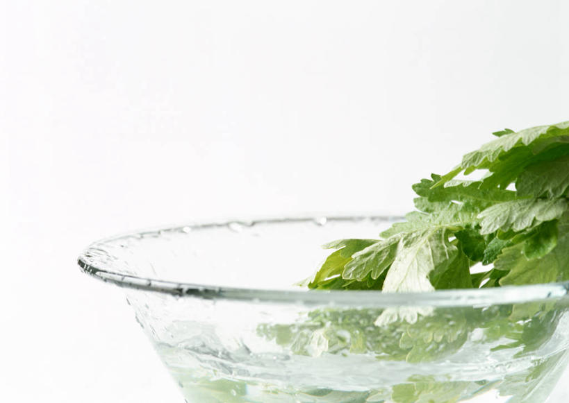 无人,横图,室内,特写,白天,白色背景,正面,水,芹菜,蔬菜,叶子,玻璃,飞溅,新鲜,溅,液体,水滴,食品,绿叶,玻璃制品,水珠,食物,一个,容器,碗,嫩叶,摄影,有机食品,绿色食品,影棚,单个,储藏,储存,喷洒,叶,叶片,药芹,水芹,旱芹,彩图,影棚拍摄,拍摄,贮存