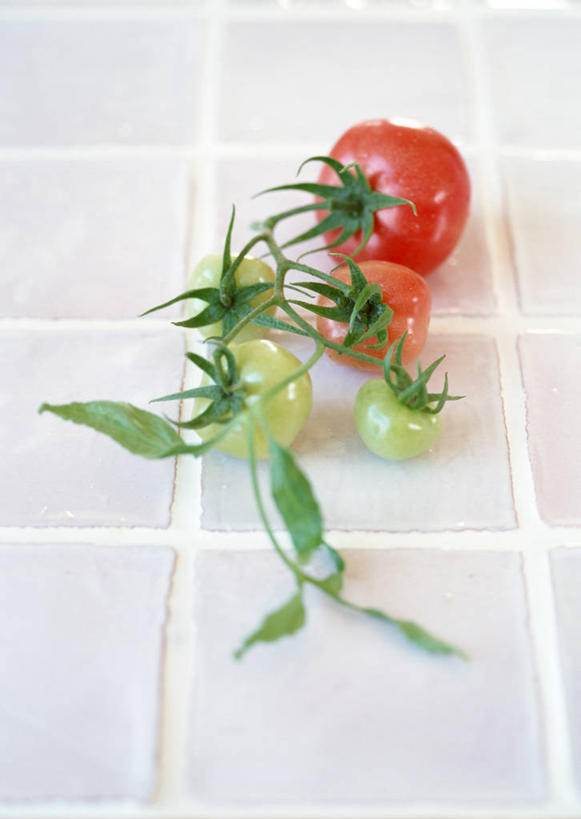 无人,竖图,俯视,室内,特写,白天,建材,水,建筑,蔬菜,西红柿,小番茄,新鲜,材料,瓷砖,液体,水滴,食品,墙砖,食物,红色,绿色,四个,摄影,建造,有机食品,绿色食品,影棚,小西红柿,樱桃小番茄,珍珠小番茄,樱桃番茄,圣女果,番茄,彩图,高角度拍摄,影棚拍摄,拍摄,墙面砖