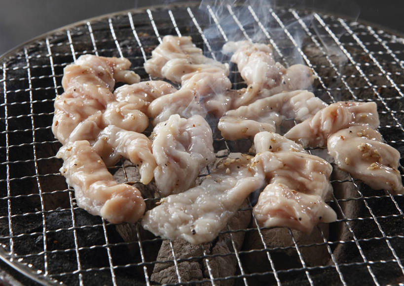 内脏,无人,横图,俯视,室内,特写,白天,烧烤,热情,煤炭,雾,火,阴影,沸腾,反射,蒸汽,火焰,影子,肉,烤架,水蒸气,烤肉,燃烧,肉类,铁架,能源,燃料,器官,煤,能量,肉食,蒸发,煤矿,矿业,化石燃料,动物器官,彩图,高角度拍摄