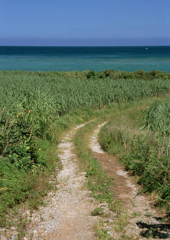 无人,农田,竖图,俯视,室外,白天,旅游,度假,庄稼,农作物,草地,草坪,海浪,海洋,美景,植物,道路,路,日本,亚洲,阴影,光线,影子,景观,浪花,水平线,小路,辽阔,交通,海平线,娱乐,冲绳,草,蓝色,绿色,蓝天,天空,阳光,自然,海水,天,享受,休闲,广阔,景色,放松,乡间小路,晴朗,一望无际,冲绳县,自然风光,海景,东亚,万里无云,琉球群岛,日本国,九州地方,无边无际,一马平川,大海,风浪,海,海水的波动,近岸浪,涌浪,晴空,晴空万里,彩图,高角度拍摄,耕地,庄稼田,岛尻郡,伊平屋村,水天相接,水天一线