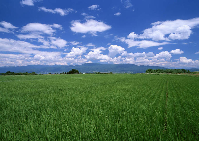 无人,农田,横图,室外,白天,正面,旅游,度假,农业,庄稼,农作物,石头,美景,森林,山,山脉,树林,植物,长野县,日本,亚洲,阴影,光线,石子,影子,稻田,景观,山顶,山峰,云,云朵,山峦,云彩,娱乐,树,树木,蓝色,绿色,白云,蓝天,天空,阳光,自然,群山,天,享受,休闲,景色,放松,生长,晴朗,成长,自然风光,东亚,沉积岩,本州,本州岛,日本国,中部地方,长野,松本市,颠峰,极峰,水成岩,松本城,石块,岩石,晴空,彩图,耕地,庄稼田