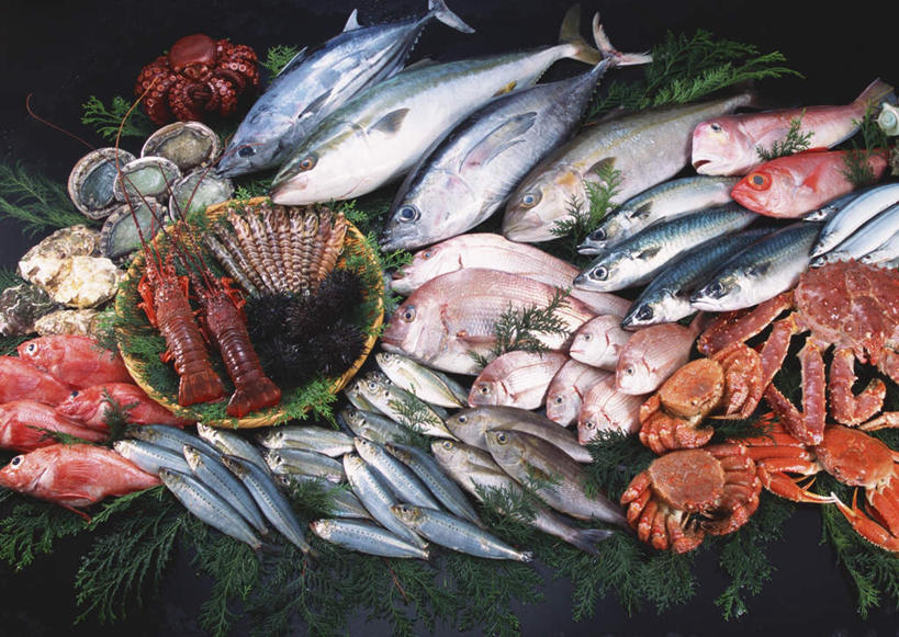 海鲜,龙虾,无人,交叉,横图,俯视,室内,白天,餐桌,桌子,竹子,叶子,许多,阴影,竹制,编织,反射,篮子,影子,冰,虾,冰块,绿叶,很多,扇贝,鲷鱼,冷冻,水产,海洋生物,竹篮,嫩叶,寒冷,鲍鱼,冷藏,餐台,竹条,巴浪,鲷,加吉鱼,鲹鱼,石决明,铜盆鱼,真鲷,竹荚鱼,交织,冰冷,竹制品,水生动物,海产品,水生物,红鲷,海底动物,黑鲷,班加吉,加真鲷,鲹,保鲜,红加吉,穿插,鳆鱼,镜面鱼,明目鱼,刺公,山鲐鱼,叶,叶片,半身,彩图,高角度拍摄,大眼鲹,杰克鱼,黑鲷鱼,黑棘鲷,青鳞加吉