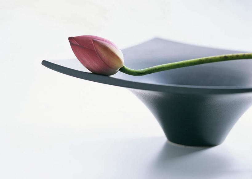 无人,横图,俯视,室内,特写,白天,白色背景,纯洁,莲花,盛开,陶瓷,陶瓷制品,花蕾,花,花瓣,花朵,鲜花,一朵,一个,容器,碗,花苞,花蕊,摄影,影棚,单个,储藏,富贵,神圣,储存,纯净,六月花神,正直,鞭蕖,鞭蓉,芙蕖,菡萏,荷花,六月春,藕花,水旦,水芙蓉,水华,水芸,溪客,彩图,高角度拍摄,影棚拍摄,拍摄,贮存