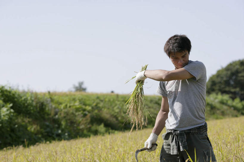 东方人,一个人,农民,农田,站,横图,室外,白天,正面,安全,农业,庄稼,农作物,草地,草坪,植物,亚洲,仅一个男性,仅一个人,仅一个中年男性,擦,抚摸,握,阴影,服装,光线,影子,稻田,防护,拿,拿着,注视,休闲装,黄种人,草,树,树木,衣服,蓝色,绿色,蓝天,天空,阳光,自然,手套,天,低头,观察,看,站着,休闲,休闲服,擦拭,握着,服饰,生长,晴朗,成长,观看,保护,察看,关注,保险,镰刀,农具,万里无云,保全,周全,安稳,安定,防护手套,耕具,揩擦,拭,割刀,平安,男人,男性,中年男性,亚洲人,晴空,晴空万里,佃农,农场主,农夫,农工,乡下人,小农,庄稼人,站立,半身,彩图,耕地,庄稼田,轻抚