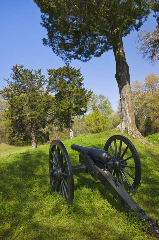无人,公园,竖图,室外,白天,正面,旅游,度假,竞争,高科技,科技,草地,草坪,名胜古迹,植物,标志建筑,城市,地标,建筑,美国,对抗,遗迹,冲突,军事,科学,古迹,破坏,文物,娱乐,建设,古建筑,草,树,树木,蓝色,绿色,蓝天,天空,自然,天,享受,休闲,大炮,武器,旅游胜地,放松,战争,工业,生长,晴朗,成长,损坏,北美,北美洲,攻击,恐怖,威胁,对立,矛盾,兵器,美洲,防御,古文明,军方,军工业,国防,万里无云,密西西比州,敌对,挫败,斗争,抗拒,抗衡,北亚美利加洲,亚美利加洲,杀伤,威慑,密西西比,木兰之州,维克斯堡,斯堡,维克斯堡国家军事公园,危险,晴空,晴空万里,彩图