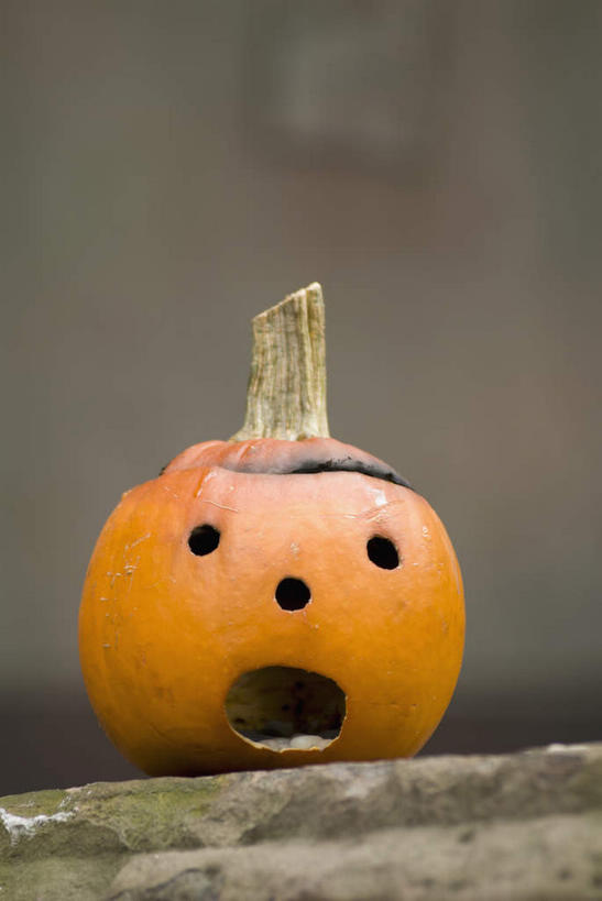 脸,头,脸颊,无人,竖图,室外,特写,白天,正面,南瓜,蔬菜,照明,阴影,节日,惊讶,朦胧,模糊,庆祝,新鲜,装饰,光线,影子,灯光,金瓜,食品,文化,镂空,番瓜,灯,食物,一个,阳光,灯具,张嘴,庆典,南瓜灯,万圣节,有机食品,绿色食品,单个,纪念,惊奇,华丽,修饰,麦瓜,倭瓜,照亮,点缀,照明设备,张大嘴巴,衬托,美观,雅致,雅观,诧异,镂刻,头部,脸部,脸蛋,面部,张开嘴,彩图