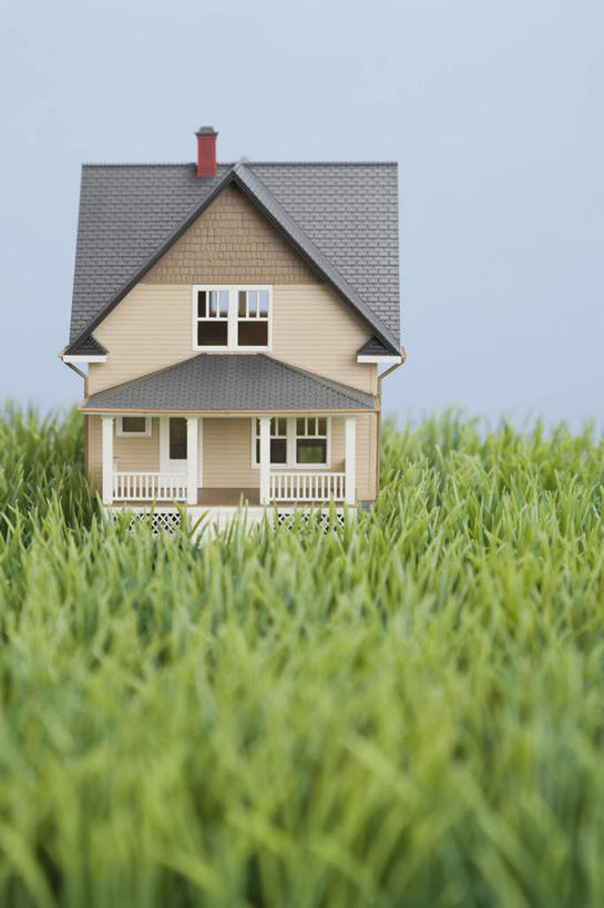 无人,家,竖图,室内,特写,白天,正面,草地,草坪,植物,一座,阴影,蓝色背景,朦胧,模糊,立体,反射,空间,影子,房屋,屋子,公寓,洋房,楼房,住宅,草,绿色,模型,规划,摄影,影棚,直观,建筑模型,建筑设计,设计,彩图,影棚拍摄,拍摄,房子