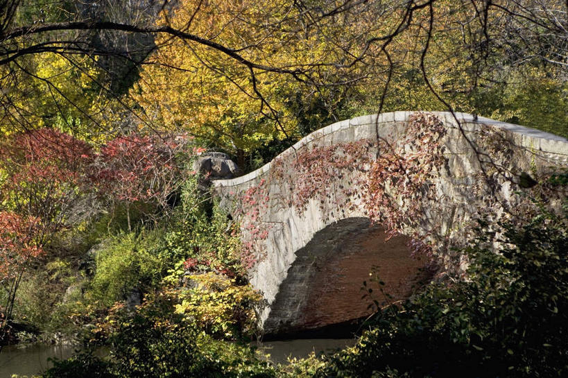 无人,横图,室外,白天,正面,旅游,度假,河流,石头,美景,树林,水,植物,城市,纽约,美国,石子,河水,景观,水流,桥,曼哈顿,娱乐,石桥,拱桥,栈桥,树,树木,绿色,自然,享受,休闲,景色,放松,拱形,生长,成长,人行桥,石拱桥,北美,北美洲,自然风光,美洲,中央公园,纽约中央公园,纽约州,帝国之州,帝国州,北亚美利加洲,亚美利加洲,石块,彩图,曼哈顿岛