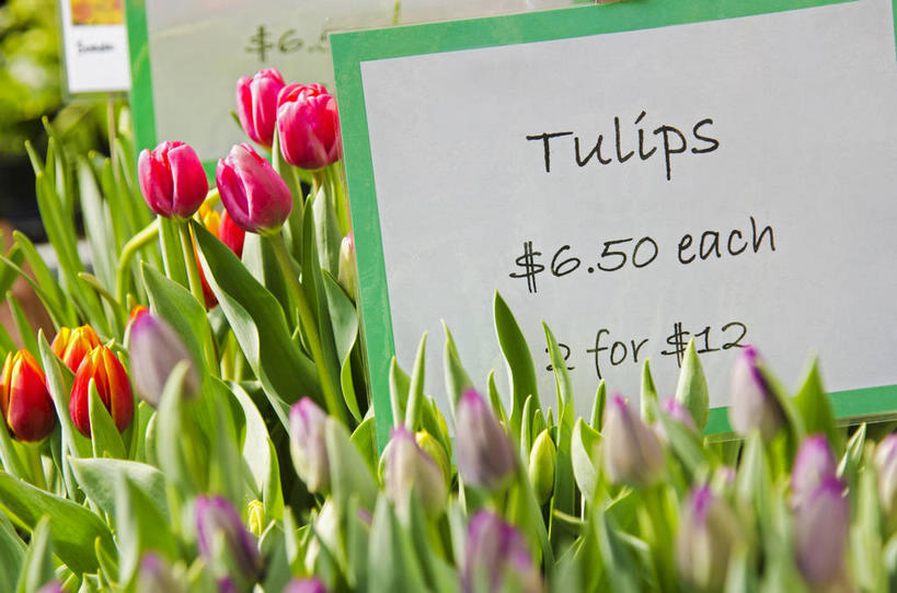 无人,花店,商店,横图,室外,特写,白天,正面,爱情,郁金香,叶子,朦胧,模糊,盛开,英文,标签,标志,数字,文字,字符,字母,绿叶,祝福,花蕾,标识,商铺,花,花瓣,花朵,鲜花,粉色,红色,紫色,花苞,花蕊,嫩叶,阿拉伯数字,英文字母,表白,荣誉,永恒,市肆,商号,叶,叶片,郁香,洋荷花,草麝香,彩图,店铺