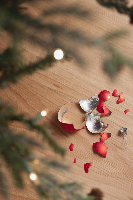 无人,竖图,俯视,室内,特写,白天,植物,地板,照明,圣诞节,阴影,节日,朦胧,模糊,破碎,庆祝,装饰,反射,光线,彩灯,挂饰,影子,灯光,圣诞树,圣诞球,地面,文化,木地板,灯,球,树,树木,红色,绿色,自然,灯具,庆典,球体,花灯,生长,成长,纪念,华丽,修饰,照亮,点缀,碎裂,破裂,照明设备,下降,降落,分裂,圣诞灯,衬托,美观,雅致,雅观,降低,下跌,下落,彩图,高角度拍摄,决裂