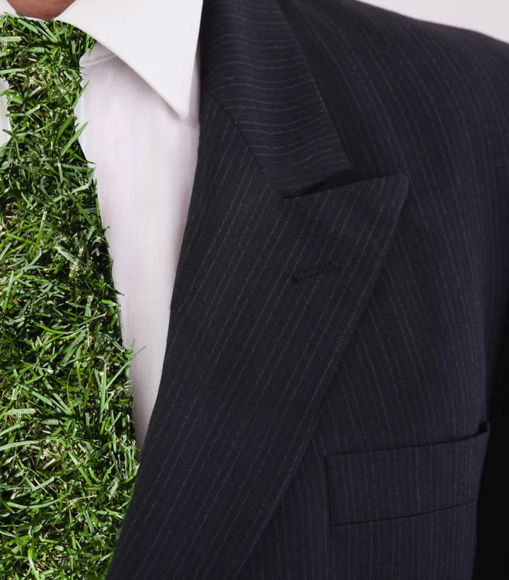 西方人,一个人,商务人士,商务男性,竖图,室内,特写,白天,正面,衬衫,草地,植物,欧洲,欧洲人,仅一个男性,仅一个人,仅一个中年男性,套装,领带,草,绿色,摄影,影棚,象征,庄重,商务装,身份,工薪阶层,正式,地位,男人,男性,中年男性,白种人,白领,上班族,半身,彩图,影棚拍摄,衬衣,拍摄