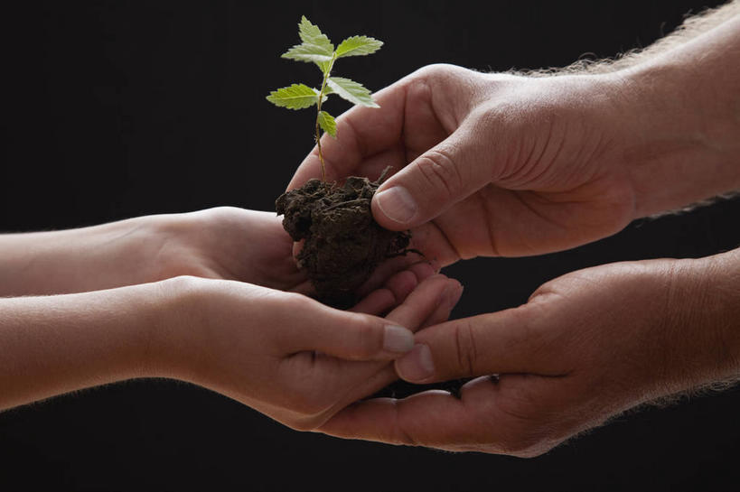 西方人,儿童,中年人,手,两个人,捧,横图,室内,特写,白天,侧面,纯洁,植物,欧洲,欧洲人,阴影,黑色背景,光线,影子,泥土,土壤,灯光,小孩,绿色,自然,手部,可爱,童年,童趣,摄影,影棚,生长,成长,童真,烂漫,无邪,秧苗,一株,天真,男人,男性,女孩,中年男性,白种人,孩子,端,端着,捧着,手捧,半身,彩图,影棚拍摄,拍摄,女生