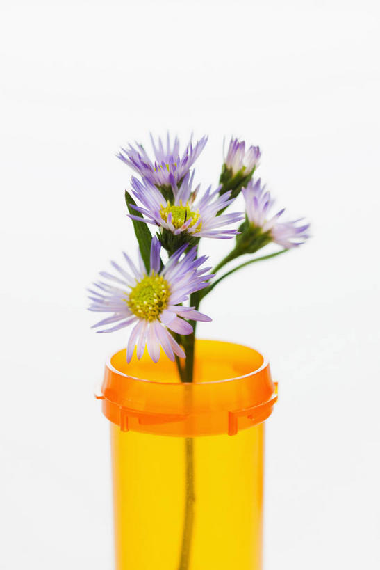 无人,竖图,室内,特写,白天,白色背景,正面,安全,植物,叶子,盛开,罐子,药剂,药丸,绿叶,草药,药草,防护,花蕾,药片,中药,玻璃制品,花,花瓣,花朵,鲜花,玻璃瓶,瓶子,药品,花苞,花蕊,嫩叶,治疗,摄影,影棚,保护,药物,医疗,药材,中草药,保险,预防,中药材,本草,平安,叶,叶片,彩图,影棚拍摄,拍摄