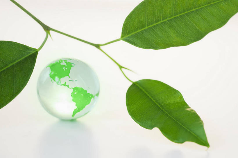 无人,横图,俯视,室内,特写,白天,白色背景,仪器,海洋,植物,地图,叶子,阴影,反射,网格,地球仪,纹理,线条,影子,世界地图,地球,陆地,绿叶,枝条,三片,全球,球,树,树木,树枝,一个,绿色,经纬线,模型,球体,嫩叶,摄影,地理,国家,影棚,单个,大陆,世界,纬线,版图,经线,经纬仪,肌理,地理学,虬枝,枝杈,叶,叶片,叶脉,彩图,高角度拍摄,影棚拍摄,拍摄,大洋,大洲