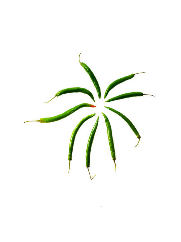 无人,竖图,俯视,室内,特写,白天,白色背景,蔬菜,许多,阴影,新鲜,环绕,围绕,反射,影子,青椒,食品,环抱,食物,绿色,摄影,有机食品,绿色食品,影棚,大椒,菜椒,萦绕,甜椒,柿子椒,灯笼椒,彩图,高角度拍摄,影棚拍摄,拍摄