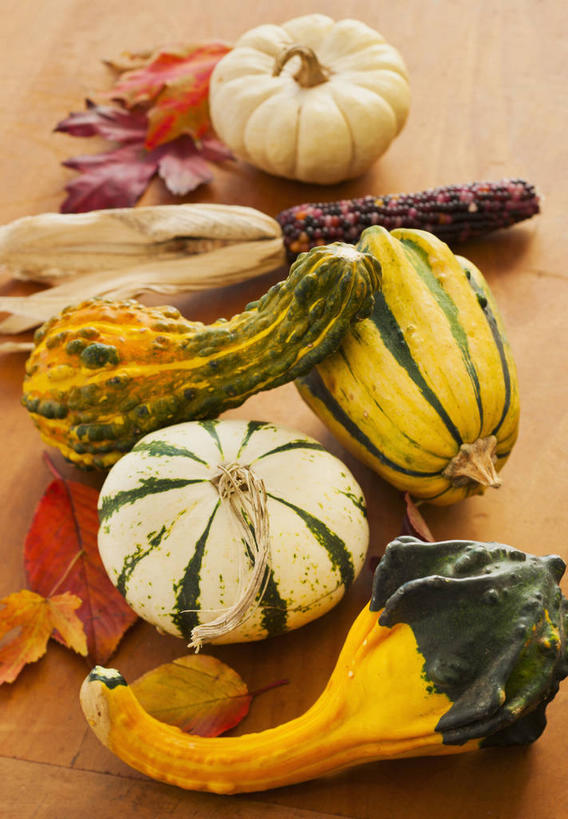 无人,竖图,俯视,室内,特写,白天,餐桌,桌子,南瓜,蔬菜,许多,阴影,新鲜,反射,影子,金瓜,食品,西葫芦,番瓜,食物,排列,白瓜,摄影,有机食品,绿色食品,影棚,餐台,麦瓜,倭瓜,笋瓜,北瓜,茭瓜,摆列,彩图,高角度拍摄,影棚拍摄,拍摄,布列,分列