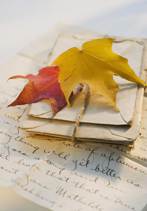 无人,竖图,俯视,室内,特写,白天,静物,叶子,两片,阴影,反射,标志,文字,影子,字符,字母,枫叶,枯叶,落叶,标识,黄色,红色,摄影,影棚,信件,枫树叶,函件,叶,叶片,彩图,高角度拍摄,影棚拍摄,拍摄