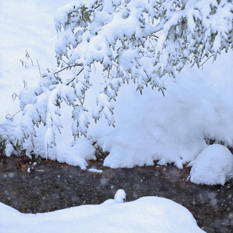 无人,方图,室外,白天,正面,旅游,度假,河流,美景,水,雪,植物,大雪,美国,朦胧,模糊,河水,积雪,景观,水流,雪景,冬季,冬天,娱乐,树,树木,绿色,小溪,自然,溪水,享受,休闲,景色,放松,寒冷,生长,成长,北美,北美洲,自然风光,美洲,北亚美利加洲,亚美利加洲,康涅狄格,康涅狄格州,宪法之州,豆蔻之州,严寒,彩图