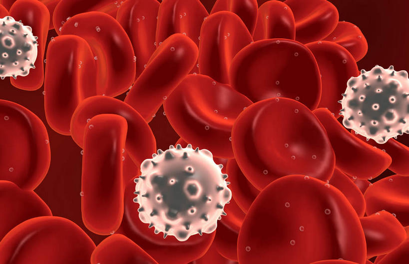 无人,横图,插画,室内,白天,正面,数码,科技,微生物,静物,阴影,黑色背景,发光,网络,血球,医学,高光,几何,计算机图形,合成,图画,画,红色,生物,人体,电脑合成图,数码合成图,医疗,生物学,血细胞,血小板,漫画,生理学,写实,具体,具象,寄生,生命体,彩图