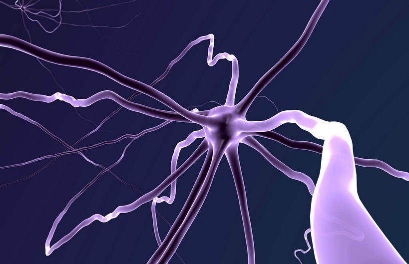 无人,横图,插画,室内,白天,正面,数码,科技,微生物,静物,阴影,紫色背景,网络,医学,高光,几何,计算机图形,合成,图画,画,红色,生物,人体,电脑合成图,数码合成图,医疗,生物学,漫画,神经元,生理学,写实,具体,具象,树突,寄生,生命体,运动神经元,轴突,彩图,神经系统