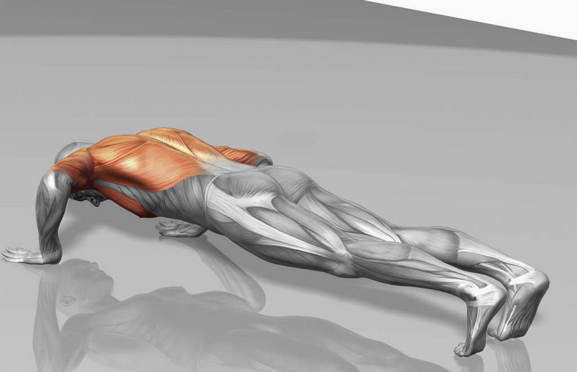 西方人,肌肉,健壮,一个人,无人,健身房,俯卧撑,横图,插画,室内,白天,白色背景,正面,数码,科技,欧洲,欧洲人,仅一个男性,仅一个人,撑,阴影,网络,高光,几何,计算机图形,合成,图画,运动器械,画,仅一个年轻男性,健康,健身器械,活力,力量,青春,电脑合成图,数码合成图,撑着,强壮,健身器材,漫画,写实,具体,具象,背阔肌,三角肌,腹外斜肌,肌肉训练,重量训练,男人,男性,年轻男性,白种人,彩图,全身,健身馆,运动器材