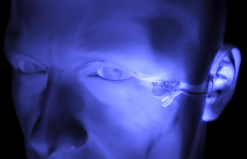 耳朵,内脏,动脉,静脉,无人,横图,室内,特写,白天,白色背景,正面,数码,科技,静物,阴影,网络,医学,高光,几何,计算机图形,合成,蓝色,模型,人体,电脑合成图,数码合成图,生物学,人体器官,器官,耳廓,耳蜗,生理学,写实,具体,具象,内耳,中耳,听觉器官,耳膜,外耳,股直肌,耳道,耳,耳部,彩图