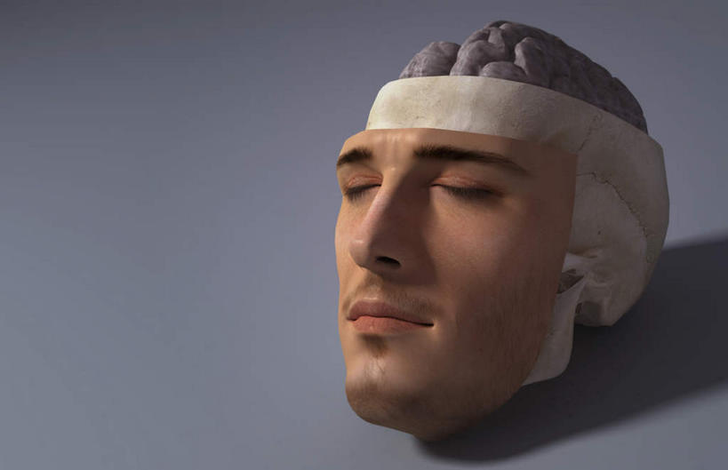 脸,头,脸颊,无人,闭眼,横图,插画,室内,特写,白天,正面,数码,科技,静物,大脑,阴影,灰色背景,反射,网络,医学,影子,高光,几何,计算机图形,合成,图画,画,一个,人体,单个,电脑合成图,数码合成图,头颅,生物学,漫画,生理学,写实,具体,具象,头部,脸部,脸蛋,面部,闭眼睛,闭着眼,闭着眼睛,彩图