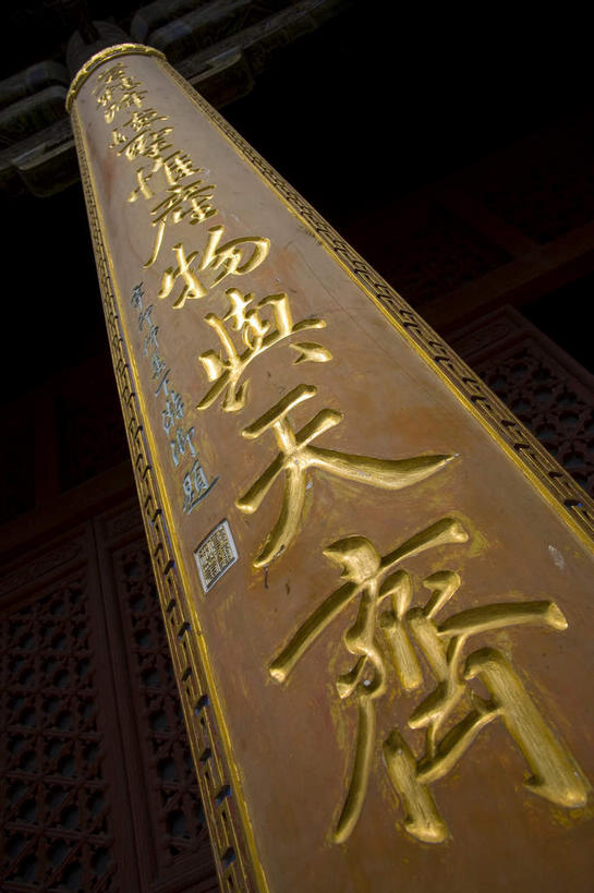 无人,寺庙,竖图,室外,特写,白天,仰视,静物,木雕,雕塑,中国,亚洲,一排,许多,节日,朦胧,模糊,艺术,整齐,装饰,纹路,木制,标志,雕刻,雕像,文字,纹理,柱子,字符,很多,燃烧,文化,标识,山东,排列,木制品,香火,工艺品,庙宇,祈祷,健康,汉字,许愿,宗教,信仰,纪念,祈求,美术,队列,中文,主题,陈列,东亚,山东省,泰安,肌理,中华人民共和国,华东地区,功能,美学,国文,华文,鲁,泰安市,东岳庙,岱庙,平安,彩图,低角度拍摄,庙,寺