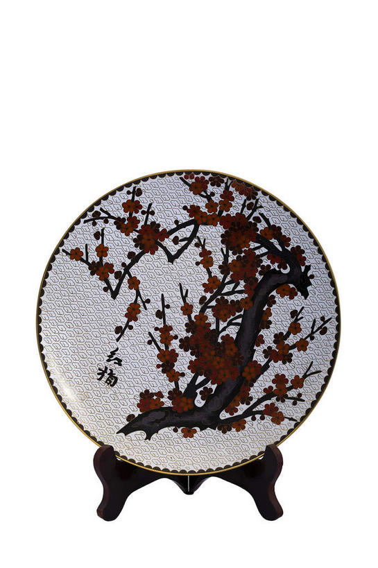 无人,竖图,室内,特写,白天,白色背景,正面,植物,静物,餐具,珐琅,装饰,盛开,纹路,碟子,盘,纹理,枝条,古典,花蕾,文化,文物,架子,花,花瓣,花朵,鲜花,树,树木,树枝,一个,红色,绿色,自然,盘子,工艺品,碟,花苞,花蕊,摄影,影棚,生长,单个,成长,古董,华丽,支撑,修饰,固定,点缀,古物,摄影棚,古玩,肌理,衬托,美观,雅致,雅观,虬枝,枝杈,搪瓷,景泰蓝,彩图,影棚拍摄,拍摄