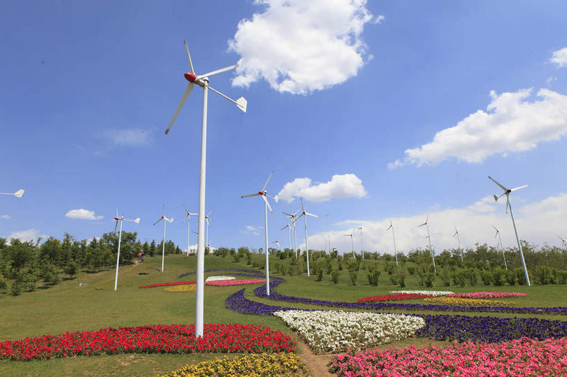 无人,横图,室外,白天,仰视,旅游,度假,农业,风能,风力发电机,草地,草坪,花海,花圃,美景,植物,风车,叶子,中国,亚洲,许多,阴影,环保,盛开,电力,光线,影子,景观,云,云朵,很多,花蕾,云彩,娱乐,设备,草,花,花瓣,花朵,花卉,鲜花,树,树木,排列,红色,蓝色,绿色,紫色,白色,白云,蓝天,天空,阳光,自然,花丛,花束,花田,天,花苞,花蕊,享受,休闲,发电,机械,景色,放松,工业,生长,能源,晴朗,成长,资源,风力机,自然风光,利用,低碳,东亚,辽宁,辽宁省,沈阳,中华人民共和国,省会,沈阳市,辽,东北地区,摆列,风力发电,风力涡轮机,晴空,彩图,低角度拍摄,布列,分列,棋盘山风景区,沈阳棋盘山国际风景旅游开发区,沈阳世博园,东北,棋盘山,中国东北地区,东北三省,东三省