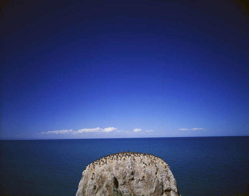 无人,站,横图,室外,白天,正面,旅游,度假,海浪,海洋,石头,美景,鸟,青海湖,鸟岛,中国,亚洲,许多,阴影,光线,鸟类,石子,影子,景观,浪花,水平线,云,云朵,辽阔,海平线,很多,云彩,注视,娱乐,蓝色,白云,蓝天,天空,阳光,自然,海水,天,观察,看,站着,享受,休闲,广阔,景色,放松,晴朗,观看,一望无际,察看,关注,自然风光,海景,东亚,青海,青海省,中华人民共和国,西北地区,青,无边无际,一马平川,咸水湖,大海,风浪,海,海水的波动,近岸浪,石块,岩石,涌浪,晴空,站立,半身,彩图,水天相接,水天一线,青海湖鸟岛