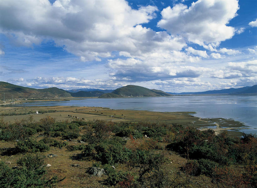 无人,横图,室外,白天,正面,旅游,度假,湖,湖泊,美景,山,山脉,水,香格里拉,中国,亚洲,阴影,光线,影子,湖面,景观,山峰,水流,水面,云,云朵,山峦,云彩,娱乐,迪庆,云南,蓝色,白云,蓝天,天空,阳光,自然,湖水,群山,天,享受,休闲,景色,放松,晴朗,自然风光,东亚,中甸,迪庆藏族自治州,云南省,那帕海,纳帕海自然保护区,中华人民共和国,西南地区,滇,迪庆州,香格里拉县,晴空,彩图