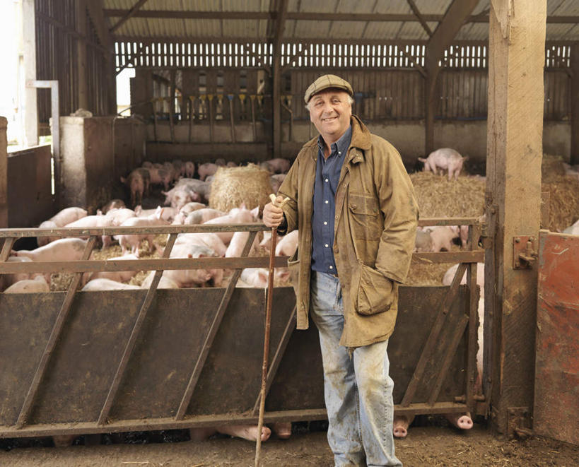 西方人,一个人,农场,栏杆,站,笑,微笑,横图,室外,白天,正面,畜牧业,牧场,猪,帽子,欧洲,欧洲人,仅一个男性,仅一个人,一群,许多,服装,柱子,围栏,很多,注视,休闲装,护栏,衣服,动物,观察,看,站着,仅一个老年男性,休闲,休闲服,家畜,服饰,牲畜,观看,察看,关注,贝雷帽,手插袋,单手插袋,畜牧,单手抄兜,单手放兜,牧业,老年男性,男人,男性,白种人,插兜,手插兜,手放口袋,站立,半身,彩图,手抄兜