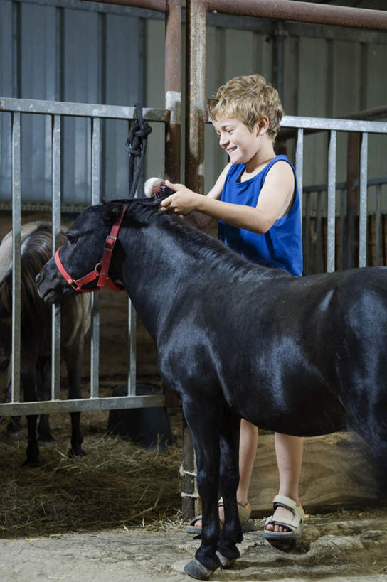 西方人,儿童,一个人,农场,栏杆,站,竖图,室内,白天,正面,纯洁,畜牧业,牧场,马,野生动物,欧洲,欧洲人,仅一个男性,仅一个人,握,服装,围栏,拿,拿着,注视,休闲装,护栏,一匹,小孩,衣服,黑色,动物,刷子,观察,看,站着,仅一个小孩,休闲,休闲服,可爱,童年,童趣,握着,运输,服饰,牲畜,观看,察看,关注,童真,烂漫,无邪,畜牧,牧业,天真,男孩,男人,男性,白种人,孩子,站立,彩图,全身,男生