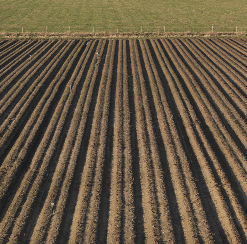 无人,农田,横图,俯视,室外,白天,旅游,度假,庄稼,农作物,美景,欧洲,荷兰,一排,整齐,景观,娱乐,排列,自然,享受,休闲,景色,放松,西欧,队列,自然风光,荷兰王国,尼德兰王国,彩图,高角度拍摄,耕地,庄稼田