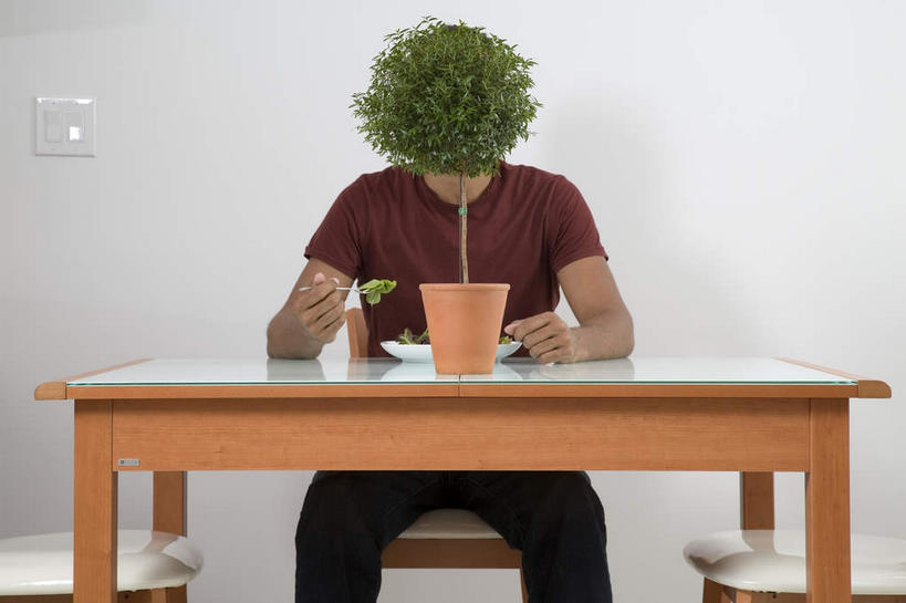 西方人,一个人,坐,横图,室内,白天,正面,植物,餐桌,桌子,蔬菜,餐具,欧洲,非洲,黑人,欧洲人,仅一个男性,仅一个人,仅一个中年男性,一把,许多,握,服装,新鲜,碟子,盘,盆栽,勺子,墙,生食,蔬菜沙拉,沙拉,食品,盆景,休闲装,色拉,沙律,墙壁,墙面,食物,衣服,红色,绿色,白色,自然,盘子,调羹,碟,汤匙,休闲,休闲服,握着,遮,遮掩,服饰,有机食品,绿色食品,生长,成长,餐台,色拉酱,掩盖,遮挡,千岛酱,遮盖,掩饰,男人,男性,中年男性,非洲人,坐着,半身,彩图