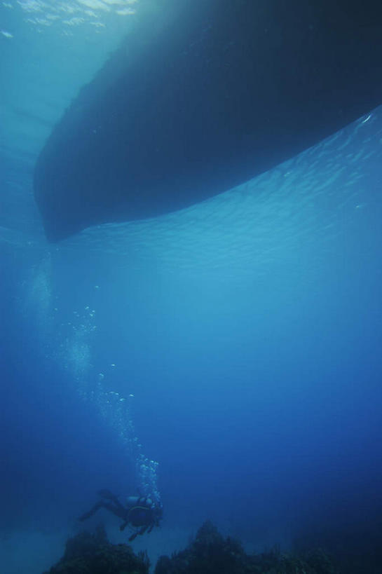 无人,竖图,室外,白天,仰视,旅游,度假,海底,水下,美景,轮船,船,洪都拉斯,一艘,景观,水底,娱乐,海洋生物,无脊椎动物,自然,交通工具,享受,休闲,景色,放松,海底世界,腔肠动物,北美,北美洲,自然风光,载具,美洲,北亚美利加洲,亚美利加洲,洪都拉斯共和国,珊瑚虫,罗阿坦岛,海床,彩图,低角度拍摄