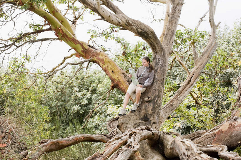 西方人,一个人,坐,横图,俯视,室外,白天,旅游,度假,美景,森林,树林,植物,道路,地图,欧洲,欧洲人,仅一个年轻女性,仅一个女性,仅一个人,握,服装,信息,景观,交通,拿,拿着,注视,休闲装,方向,娱乐,树,树木,衣服,绿色,自然,观察,看,享受,休闲,休闲服,景色,放松,握着,服饰,生长,成长,观看,引导,指引,察看,关注,自然风光,年轻女性,女人,女性,白种人,坐着,彩图,高角度拍摄,全身,导航