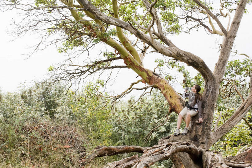 西方人,一个人,坐,横图,室外,白天,正面,旅游,度假,美景,森林,树林,植物,道路,地图,欧洲,欧洲人,仅一个年轻女性,仅一个女性,仅一个人,握,服装,信息,景观,交通,拿,拿着,注视,休闲装,方向,娱乐,树,树木,衣服,绿色,自然,观察,看,享受,休闲,休闲服,景色,放松,握着,服饰,生长,成长,观看,引导,指引,察看,关注,自然风光,年轻女性,女人,女性,白种人,坐着,彩图,全身,导航