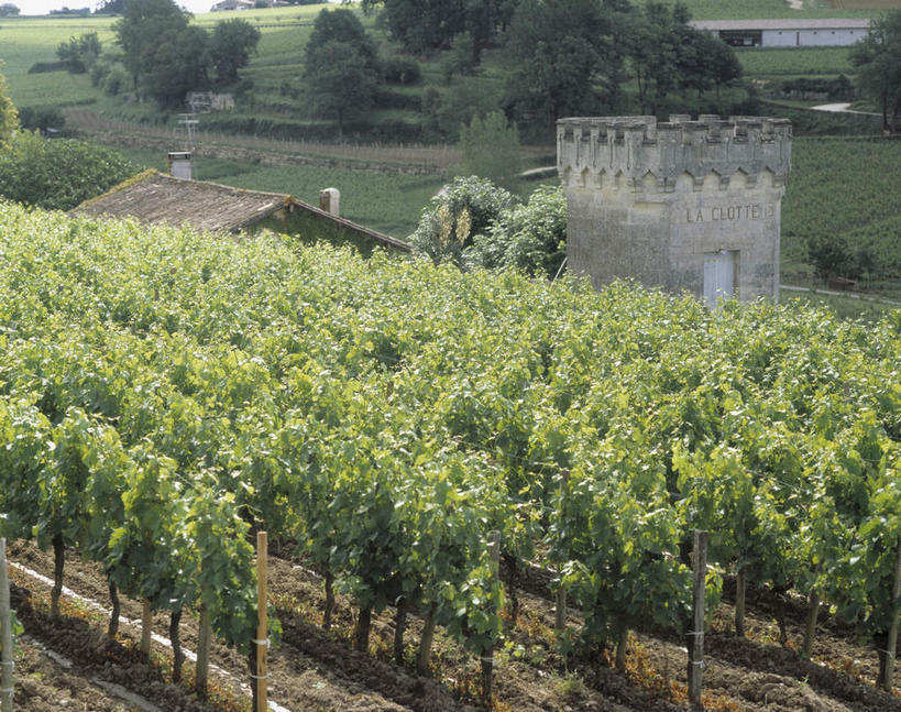 无人,农场,横图,俯视,航拍,室外,白天,旅游,度假,畜牧业,牧场,美景,法国,欧洲,堡垒,城堡,景观,娱乐,自然,享受,休闲,景色,放松,要塞,鸟瞰,自然风光,畜牧,法兰西共和国,首府,波尔多,阿基坦,牧业,法兰西第五共和国,亚魁当,波尔多市,阿基坦大区,设防,彩图,高角度拍摄