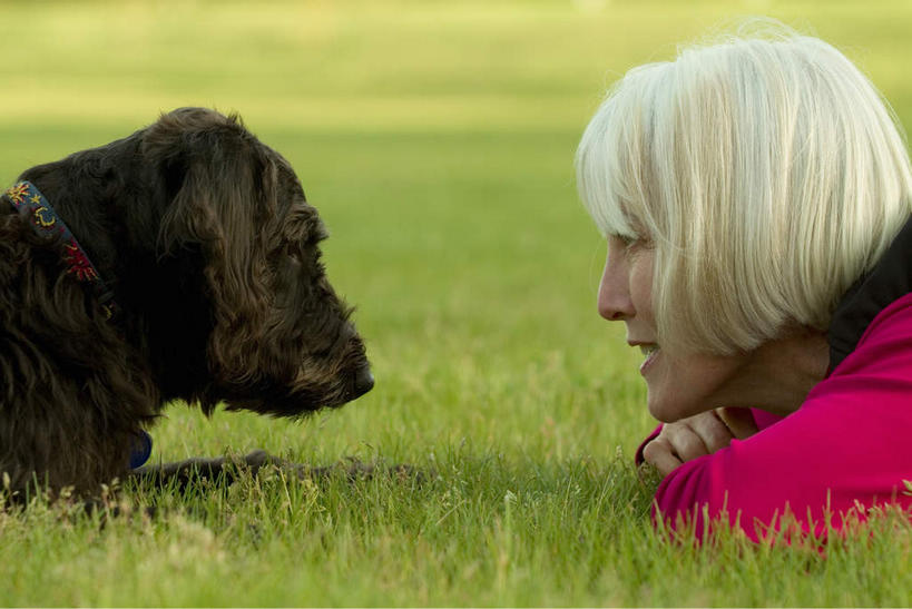 西方人,脸,头,脸颊,一个人,笑,摸,微笑,横图,室外,特写,白天,侧面,草地,草坪,植物,宠物,狗,欧洲,欧洲人,仅一个女性,仅一个人,抚摸,阴影,服装,朦胧,模糊,光线,影子,梗犬,注视,休闲装,苏格兰梗,亚伯丁梗,肩膀,草,树,树木,一只,衣服,绿色,阳光,自然,动物,观察,看,趴着,休闲,休闲服,可爱,服饰,仅一个老年女性,生长,成长,观看,察看,关注,忠诚,老年女性,女人,女性,白种人,头部,脸部,脸蛋,面部,犬,触摸,接触,趴,半身,彩图