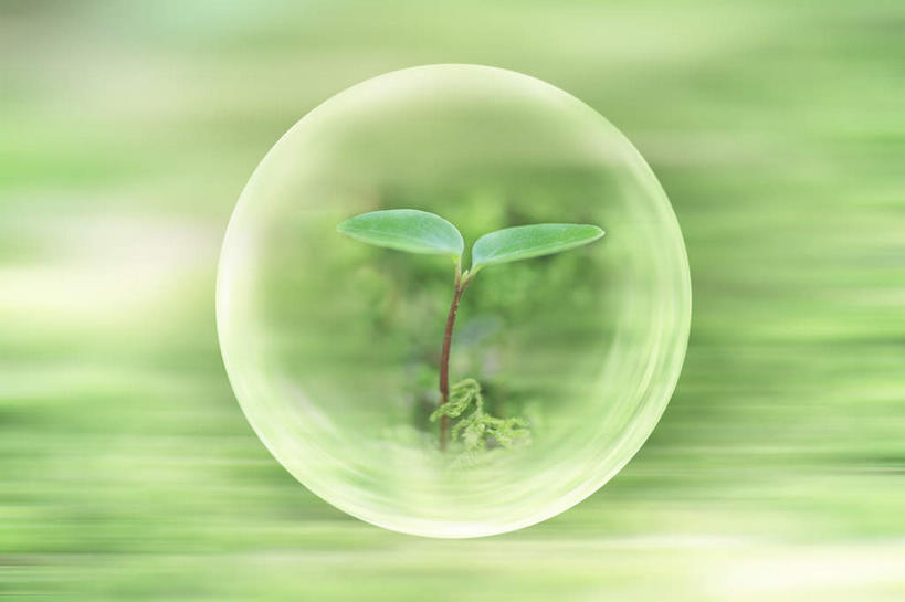 无人,横图,室内,特写,白天,正面,数码,科技,叶子,阴影,朦胧,模糊,光线,网络,影子,气泡,绿叶,高光,几何,计算机图形,球形,合成,幼苗,绿色,阳光,嫩叶,电脑合成图,数码合成图,写实,具体,具象,叶,叶片,彩图