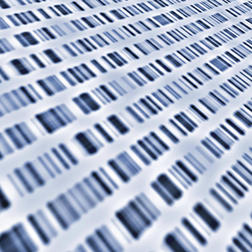 无人,方图,插画,室内,白天,正面,数码,电子,科技,阴影,科学,网络,信息,基因,标签,符号,数字,高光,几何,计算机图形,合成,图画,标识,画,生物,遗传,条形码,电脑合成图,数码合成图,单据,脱氧核糖核酸,票据,合成图,编码,漫画,条码,写实,具体,具象,DNA分子,去氧核糖核酸,遗传信息,遗传因子,彩图,商业,核酸的一级结构,核酸序列,遗传学DNA序列