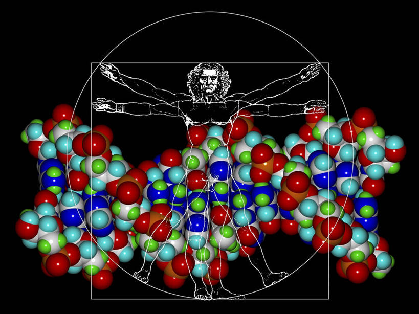 一个人,无人,站,伸展双臂,横图,彩色,插画,室内,白天,正面,数码,分子,科技,仅一个男性,仅一个人,阴影,黑色背景,科学,网络,化学,基因,图形,高光,几何,计算机图形,合成,图画,注视,画,仅一个年轻男性,观察,看,站着,球体,生物,遗传,观看,五颜六色,色彩斑斓,电脑合成图,数码合成图,察看,脱氧核糖核酸,分子结构,合成图,原子,关注,数学,五彩缤纷,漫画,粒子,写实,具体,具象,五彩斑斓,DNA分子,去氧核糖核酸,遗传信息,遗传因子,遗传学,五光十色,分子几何,分子立体结构,分子形状,男人,男性,年轻男性,敞开双臂,伸开双臂,展开双肩,站立,张开手臂,张开双臂,彩图,全身,几何图形,立体几何,立体图形,DNA序列,核酸的一级结构,核酸序列