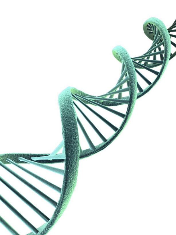 无人,竖图,插画,室内,白天,白色背景,正面,数码,科技,阴影,新鲜,科学,网络,基因,高光,几何,计算机图形,合成,图画,画,绿色,生物,遗传,青春,电脑合成图,数码合成图,脱氧核糖核酸,生命,合成图,和平,安详,漫画,写实,具体,具象,DNA分子,去氧核糖核酸,遗传信息,遗传因子,遗传学,冷色,螺旋状,彩图,螺旋形,螺旋形状,螺旋型,DNA序列,核酸的一级结构,核酸序列