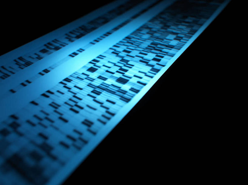 无人,横图,俯视,室内,特写,白天,静物,阴影,黑色背景,光线,科学,基因,影子,灯光,生物,摄影,影棚,遗传,脱氧核糖核酸,DNA分子,去氧核糖核酸,遗传信息,遗传因子,遗传学,彩图,高角度拍摄,影棚拍摄,拍摄,DNA图谱,基因图,基因图谱,DNA序列,核酸的一级结构,核酸序列